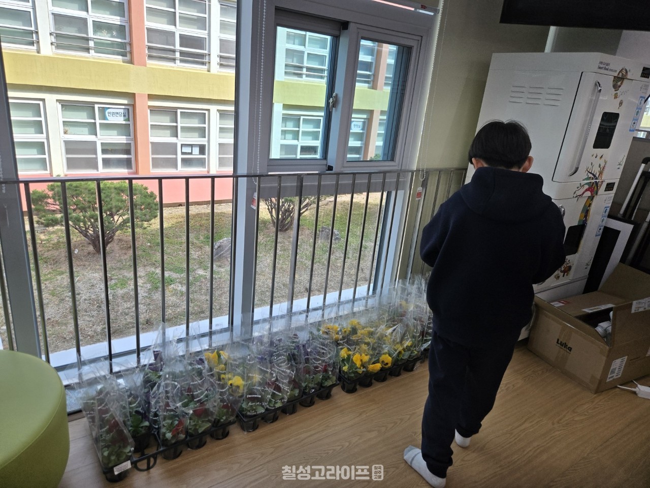 왜관중앙초등학교, 2025 새로운 도서관 단장 기념 이벤트 진행