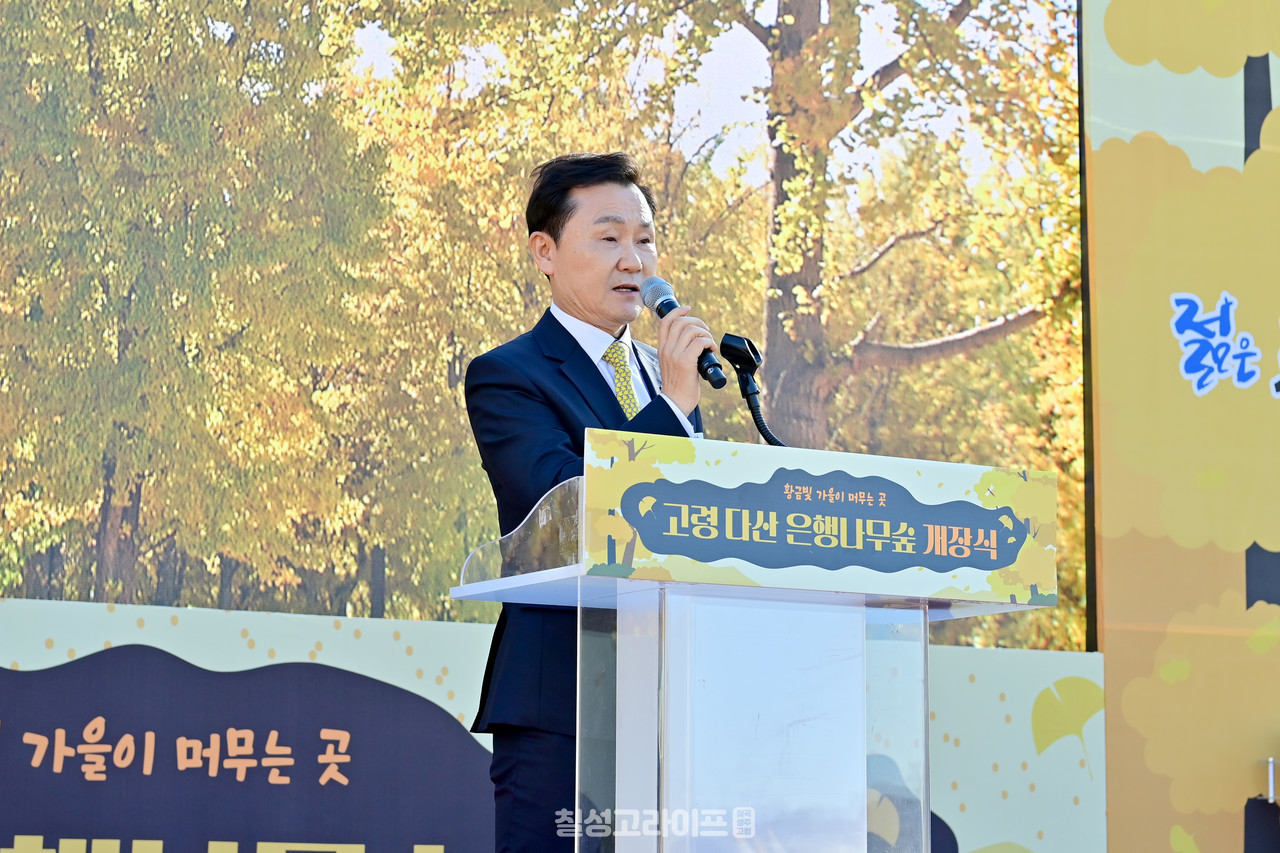 고령군 ‘고령다산 은행나무숲’ 개장