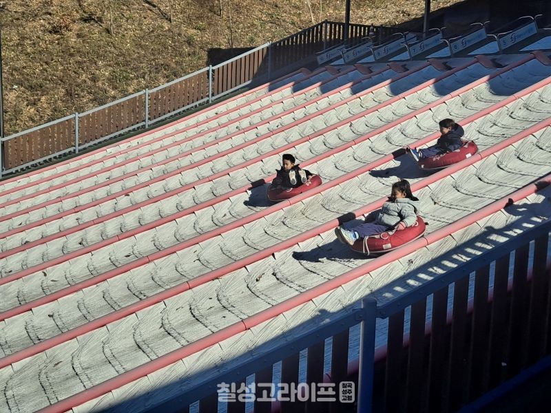 지천초등학교병설유치원 사계절 썰매장 현장체험학습 실시